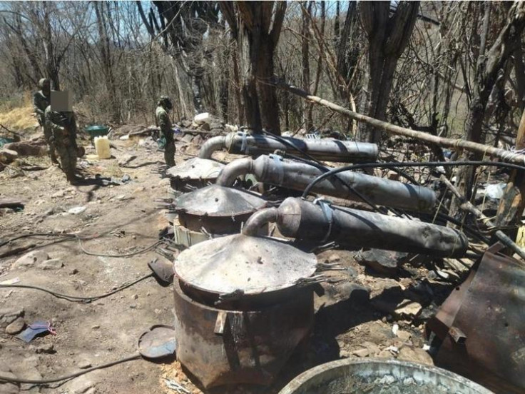 Fuerzas federales localizaron e inhabilitaron tres laboratorios clandestinos utilizados para