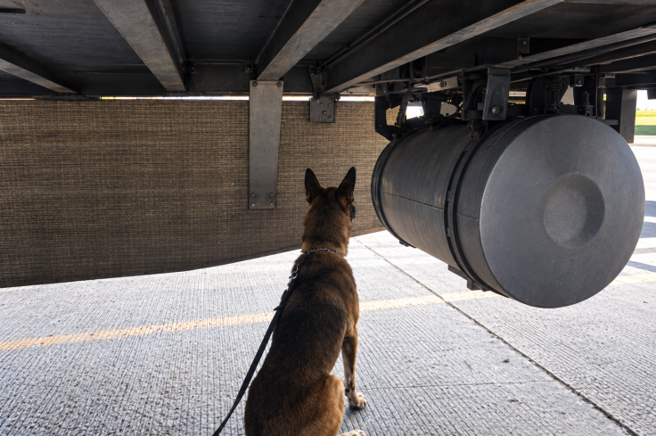 El ejemplar canino de la Guardia Nacional alertó durante una